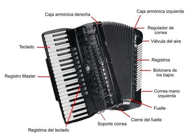 accordion parts diagram