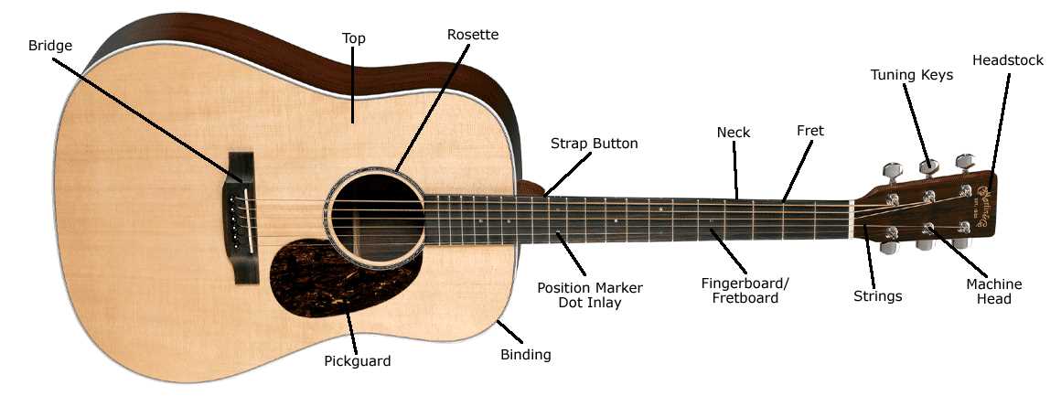 acoustic guitar parts diagram acoustic guitar parts diagram