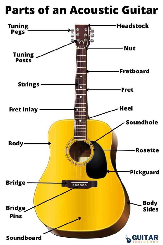 acoustic guitar parts diagram