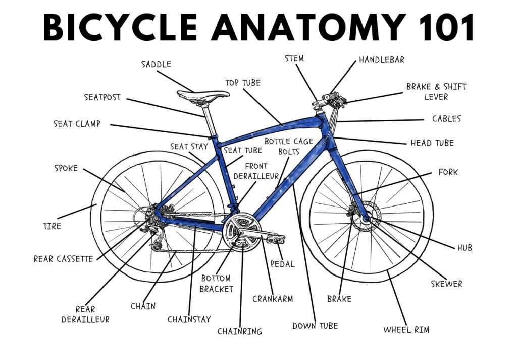 bike wheel parts diagram