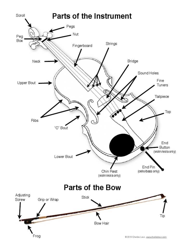 cello parts diagram cello parts diagram