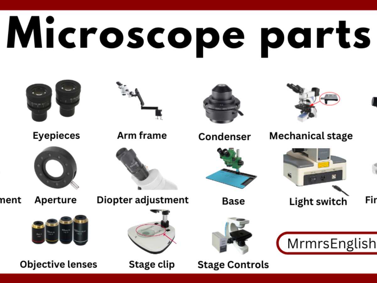 diagram of microscope parts