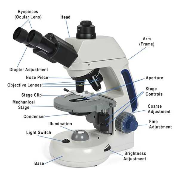 diagram of microscope parts