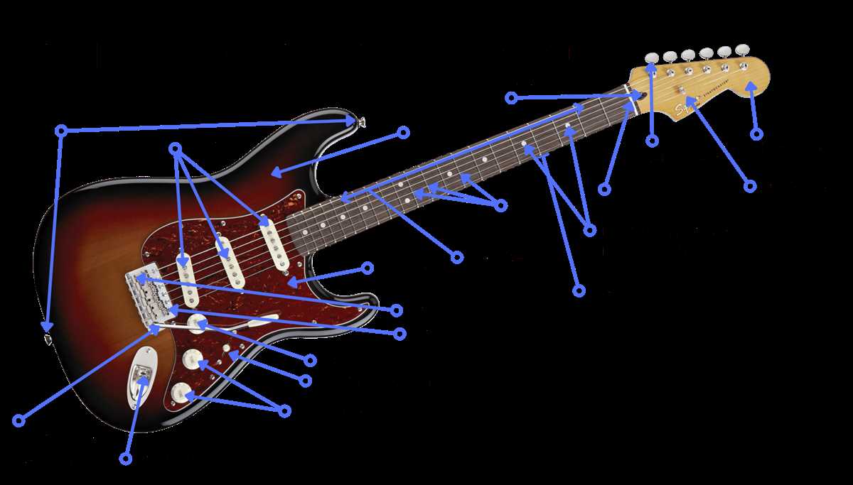 electric bass parts diagram