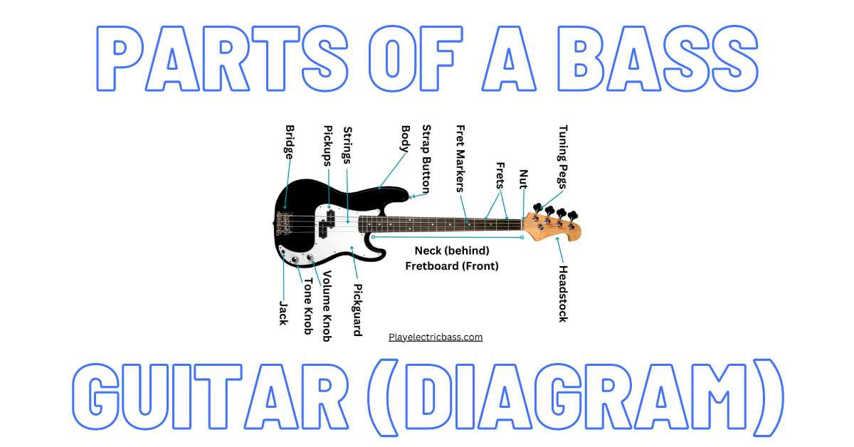 electric guitar parts diagram