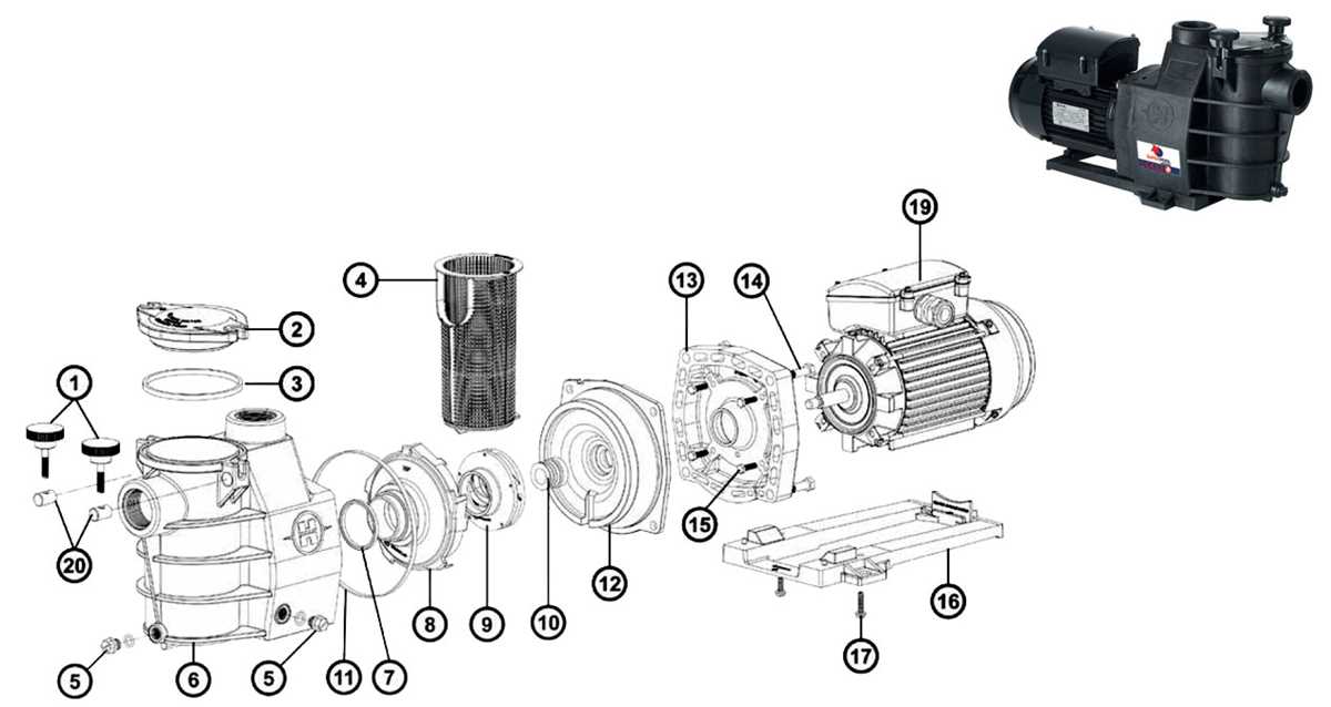 hayward super pump parts diagram hayward super pump parts diagram