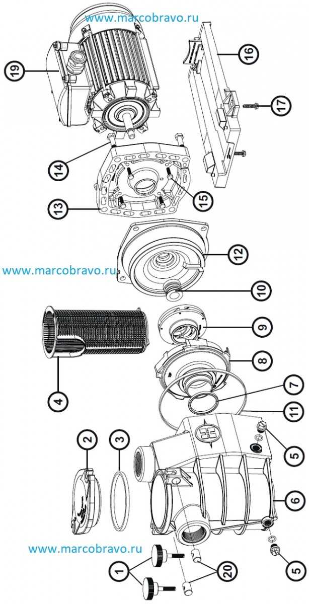 hayward super pump parts diagram hayward super pump parts diagram