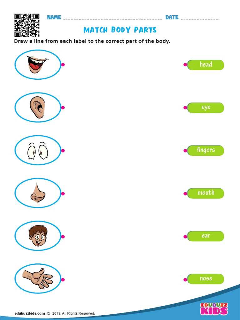 match the parts in the diagram with the correct label