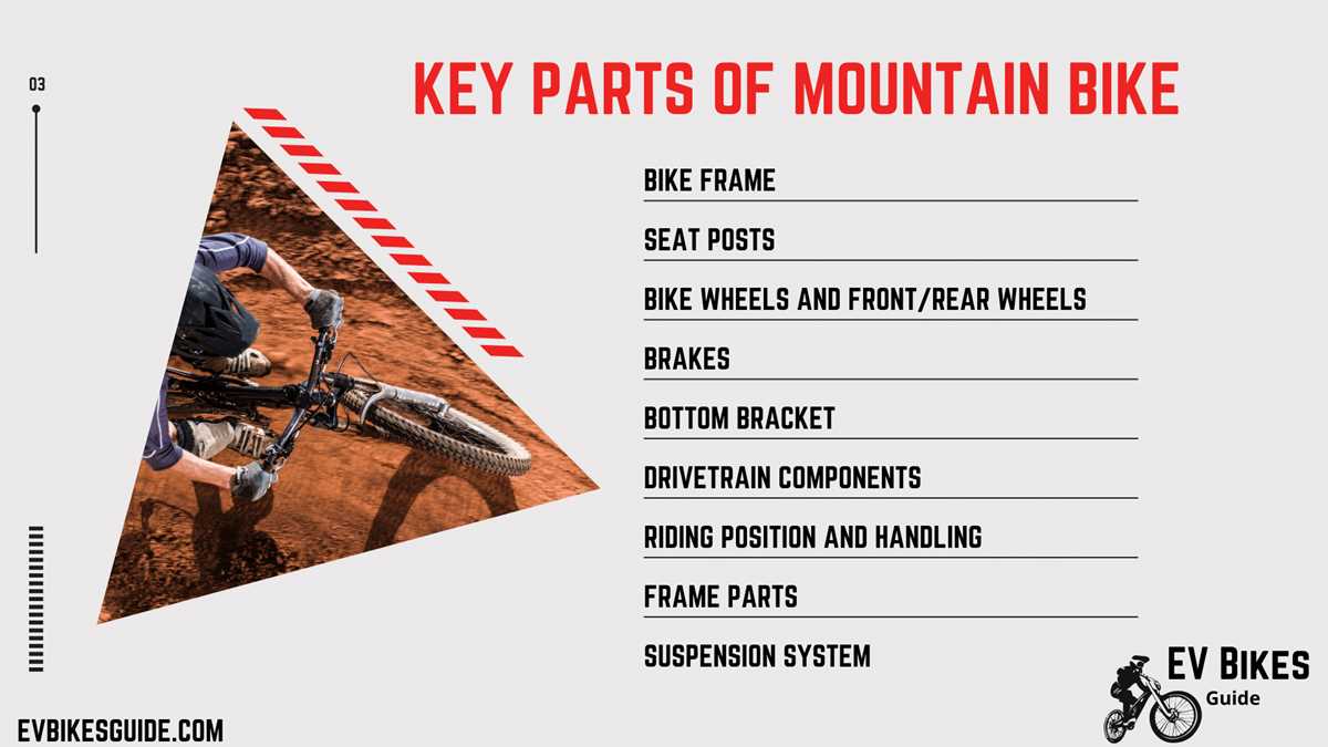 mtb parts diagram mtb parts diagram