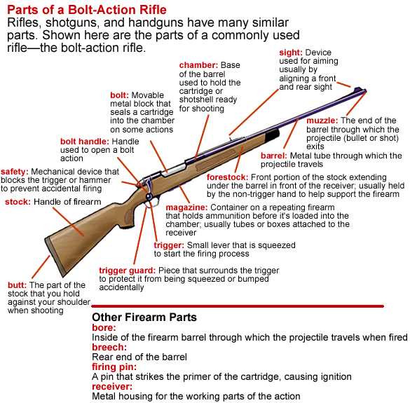 parts of a bullet diagram