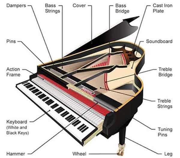 parts of a piano diagram