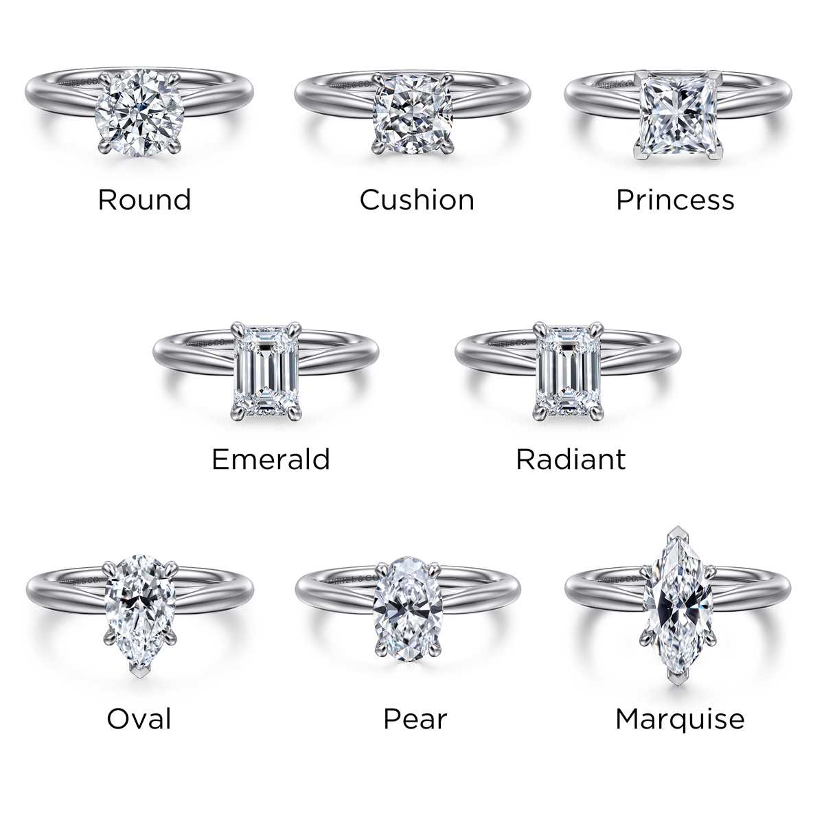 parts of a ring diagram