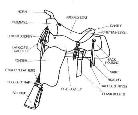 parts of a saddle diagram parts of a saddle diagram