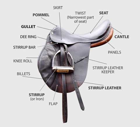 parts of a saddle diagram parts of a saddle diagram