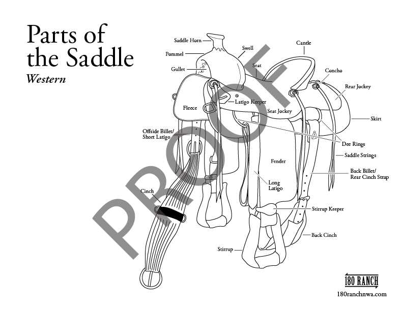 parts of a western saddle diagram parts of a western saddle diagram