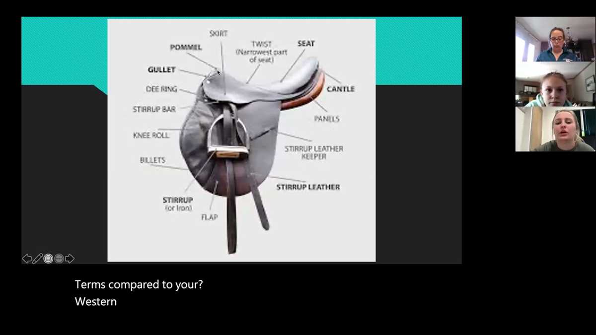 parts of a western saddle diagram