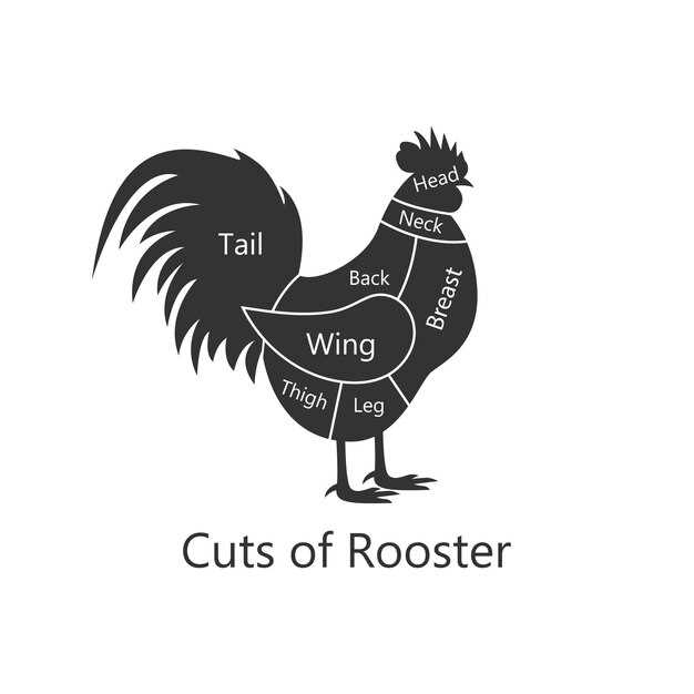 parts of chicken diagram
