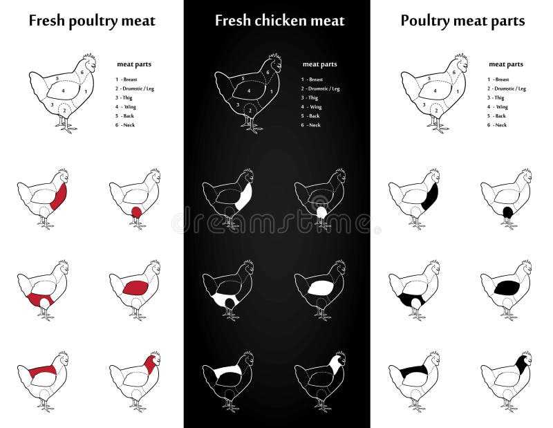 parts of chicken diagram