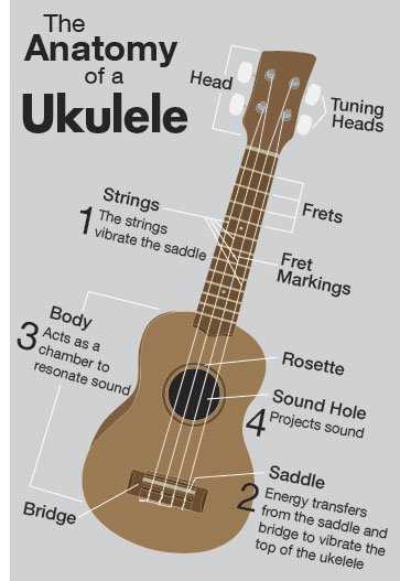 parts of ukulele diagram