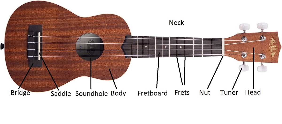 parts of ukulele diagram