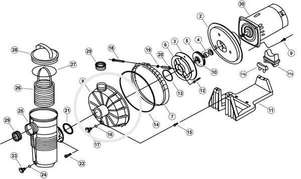 pool pump parts diagram