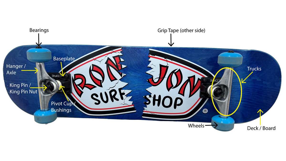 skateboard parts diagram