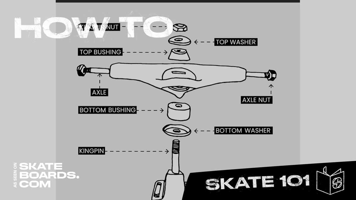 skateboard parts diagram skateboard parts diagram