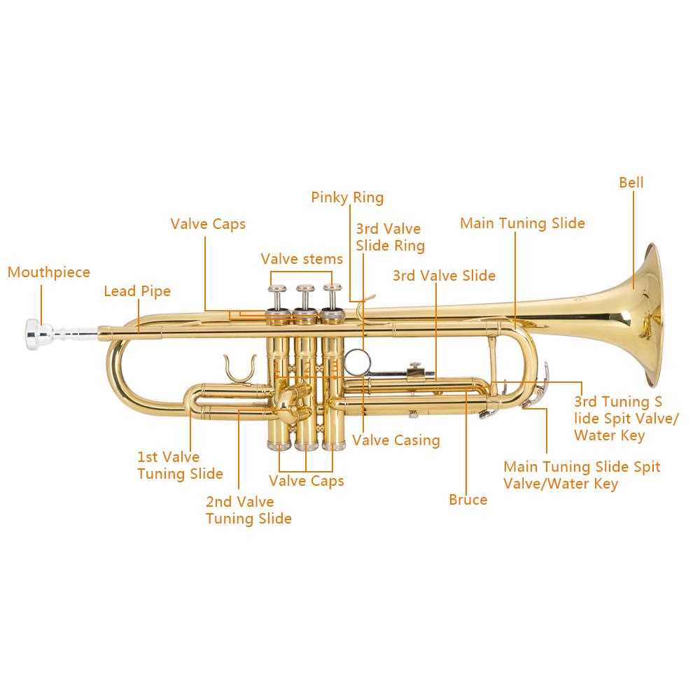 trumpet parts diagram trumpet parts diagram