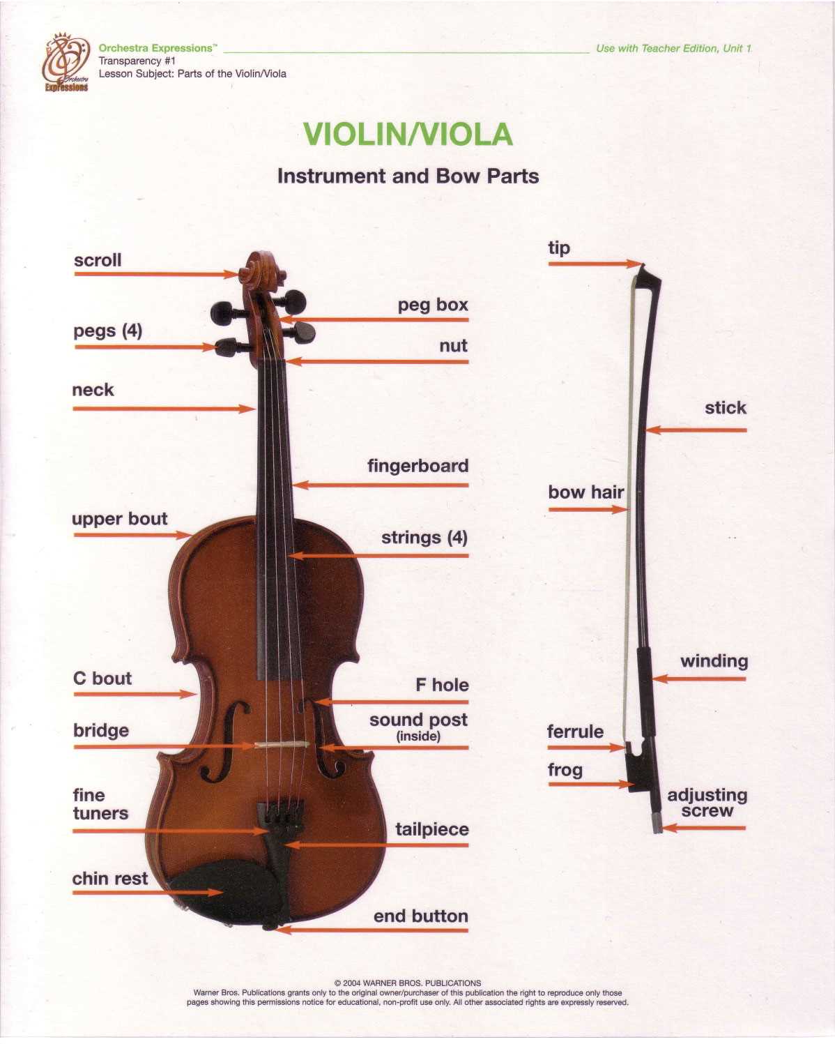 violin diagram parts