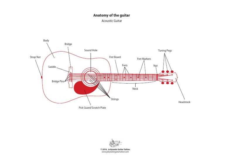 acoustic guitar parts diagram acoustic guitar parts diagram