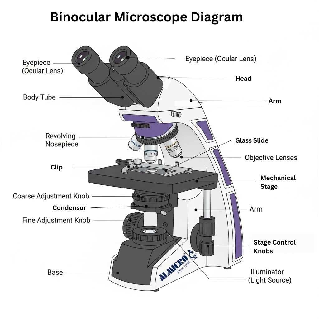binocular parts diagram