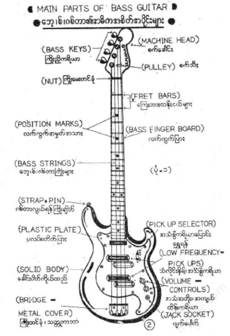 bass parts diagram