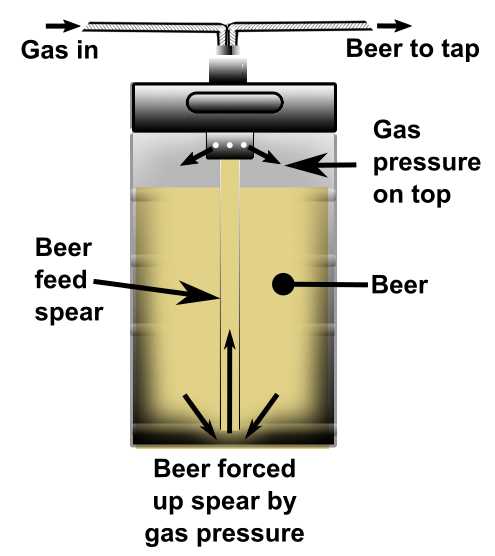 beer keg parts diagram beer keg parts diagram