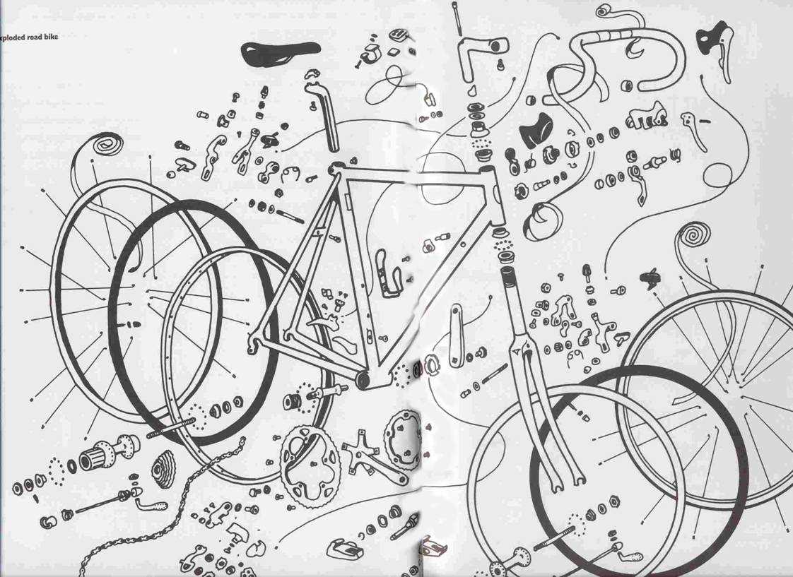 trek bicycle parts diagram