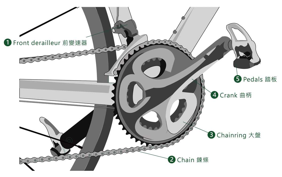 bicycle diagram of parts