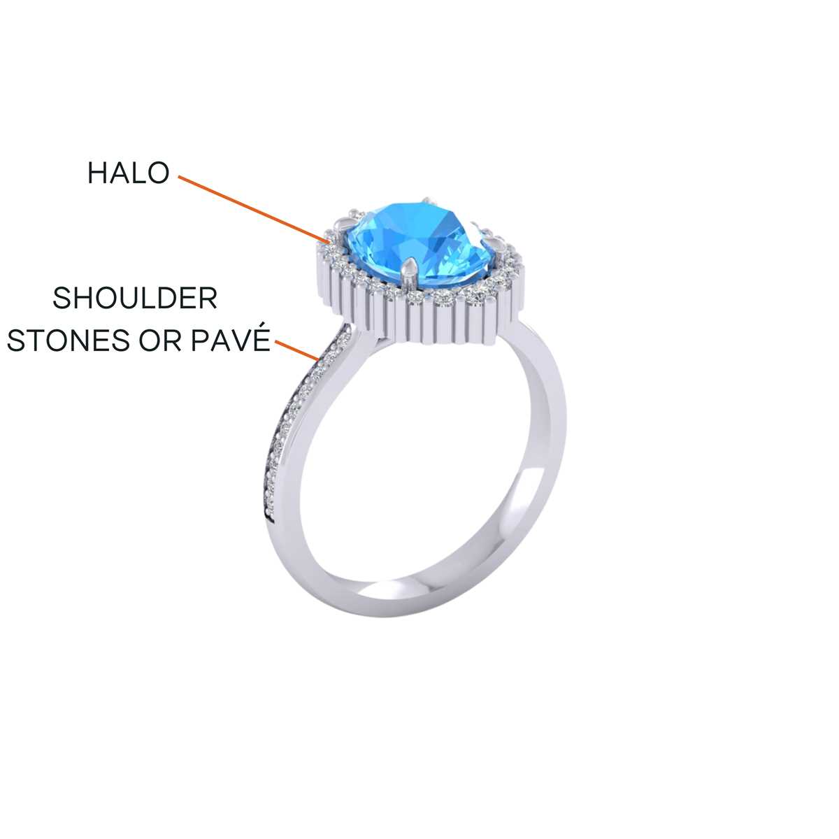 parts of a ring diagram