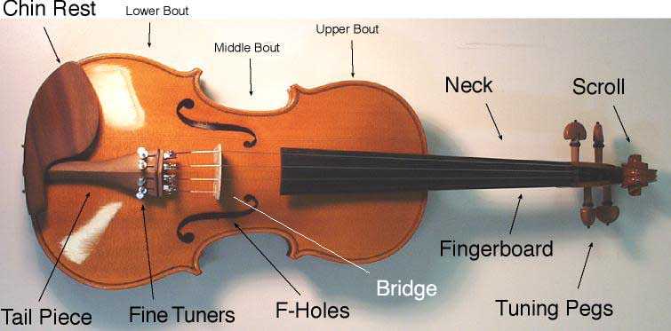 cello parts diagram