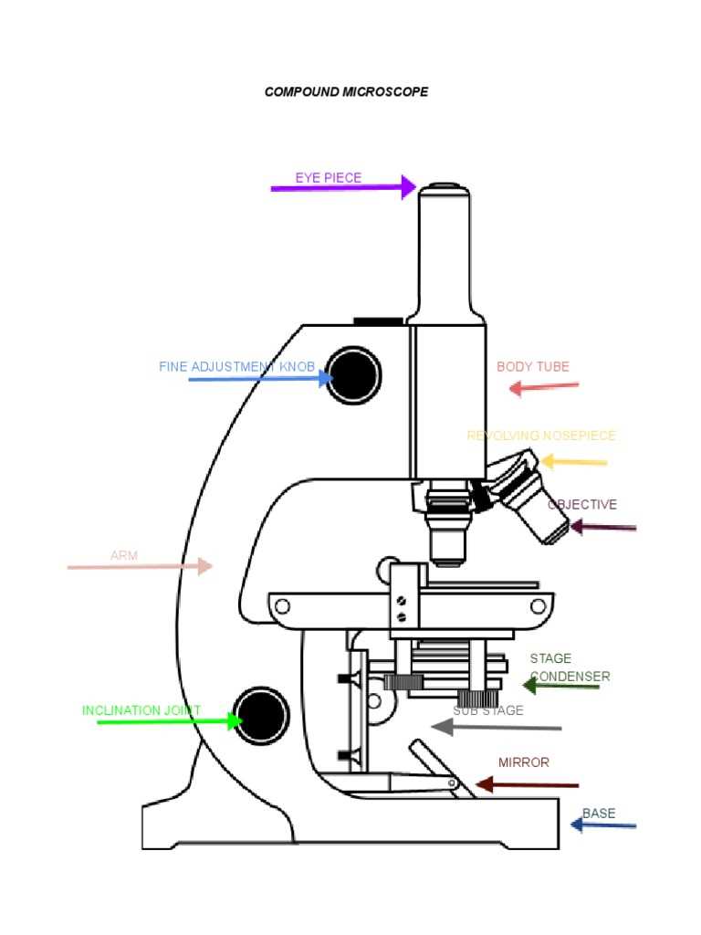 diagram of microscope parts