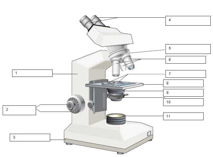 diagram of microscope parts