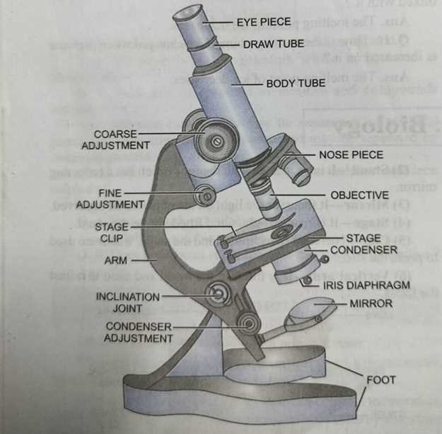 diagram of parts of a microscope diagram of parts of a microscope