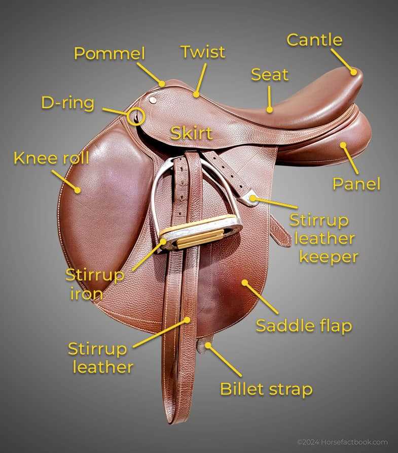 diagram of saddle parts