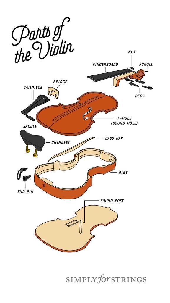violin diagram parts