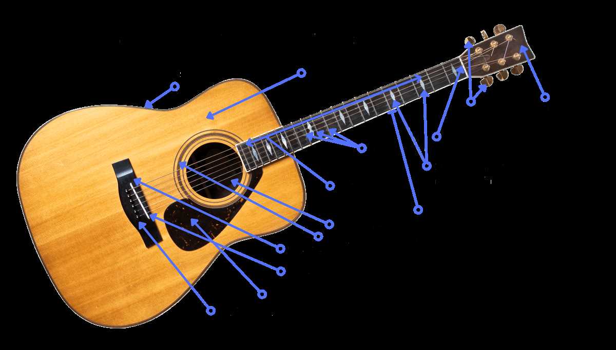 electric guitar diagram parts electric guitar diagram parts