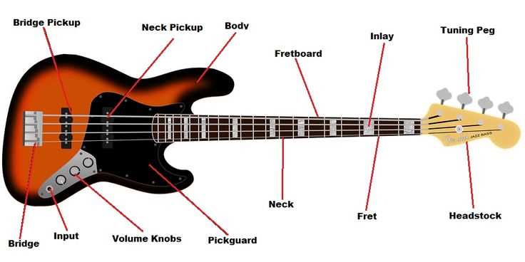 electric guitar parts diagram
