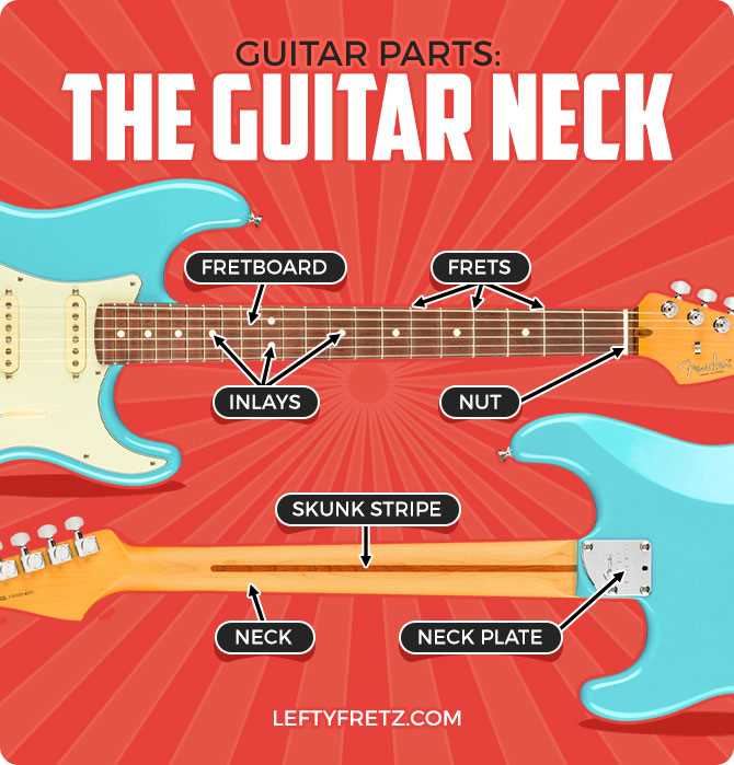electric guitar parts diagram