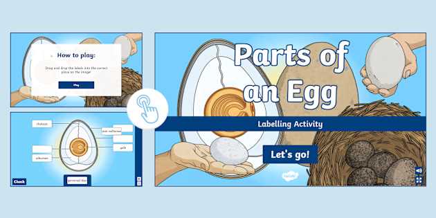 green egg parts diagram