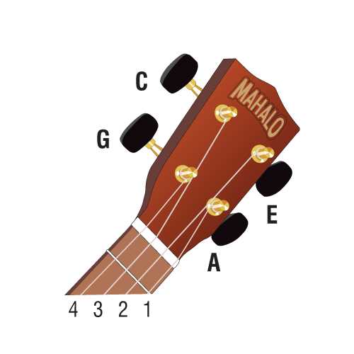ukulele diagram of parts ukulele diagram of parts