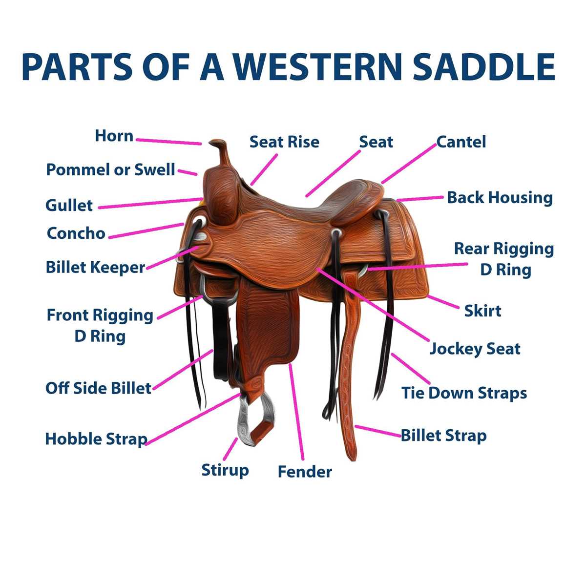 diagram of saddle parts