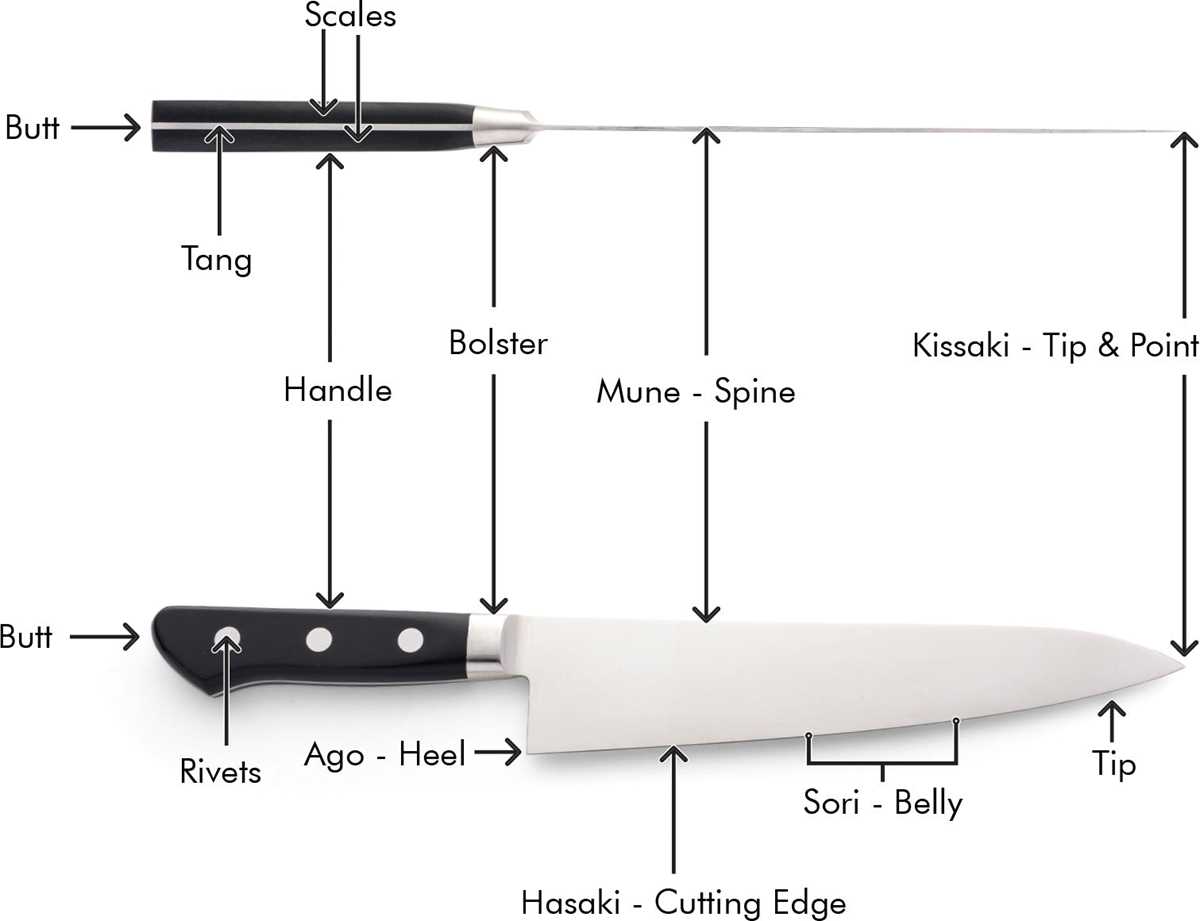 knife parts diagram