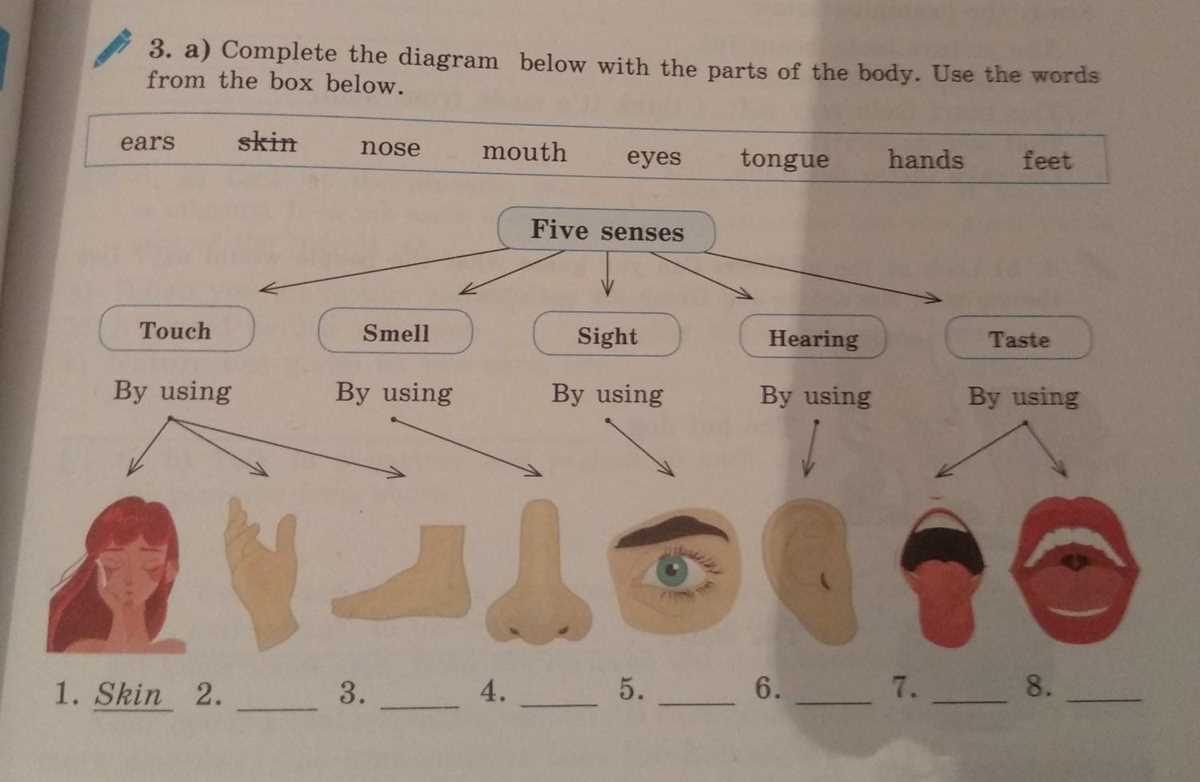 use the diagram below to complete each part